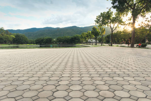 Professional Driveway Pavers in Verona Walk, FL